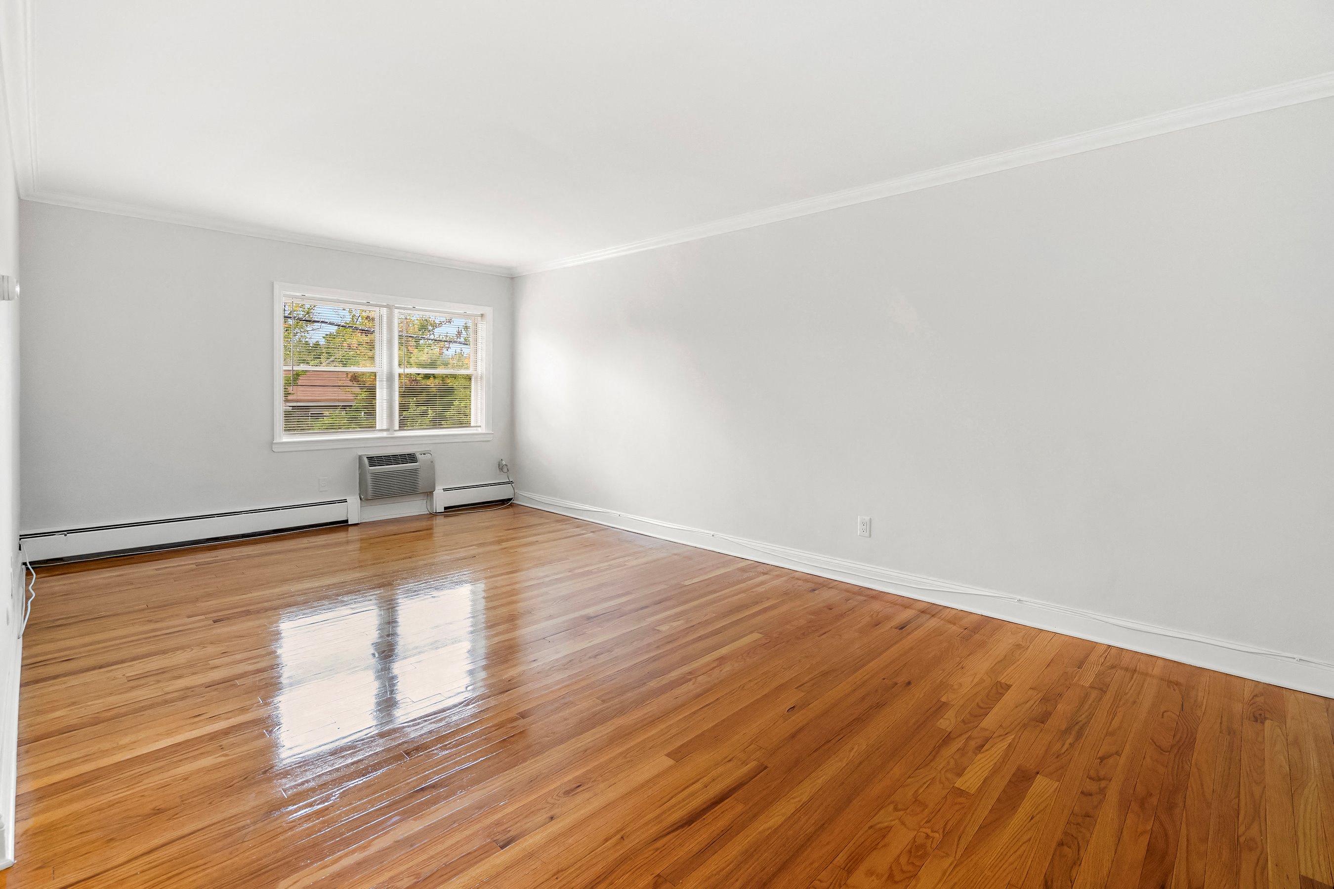 Gallery Photo 3